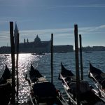 WhatsApp Image 2025-12-22 at 14.43.56