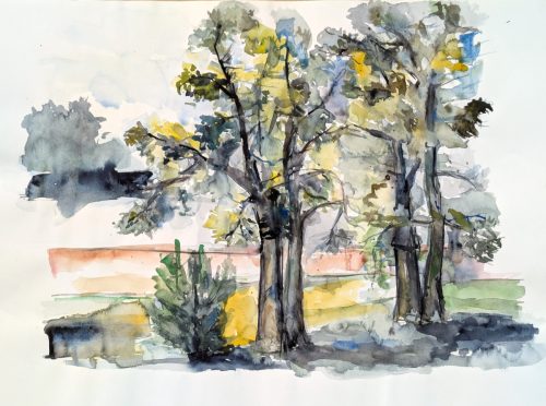 Baeume-vor-Mauerzaun