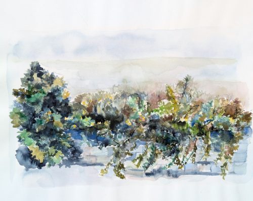 Straeucher-am-Wegrand