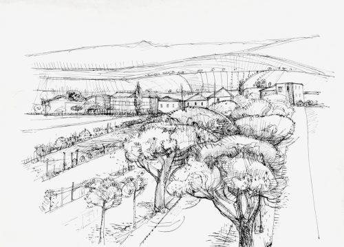 Landschaft-im-Sueden