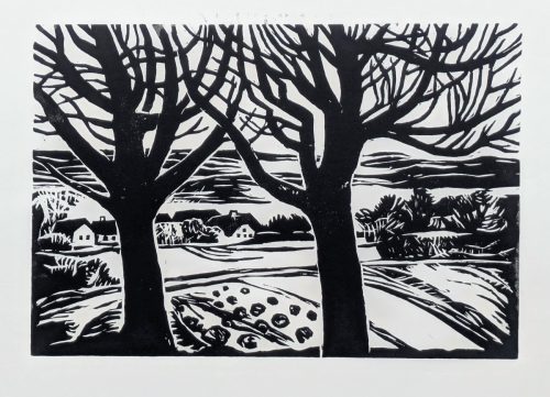 Haeuser-hinter-Baeumen