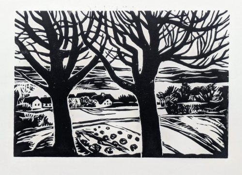 Häuser hinter Bäumen