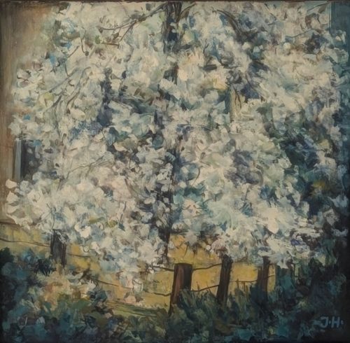 Weißblühende Bäume